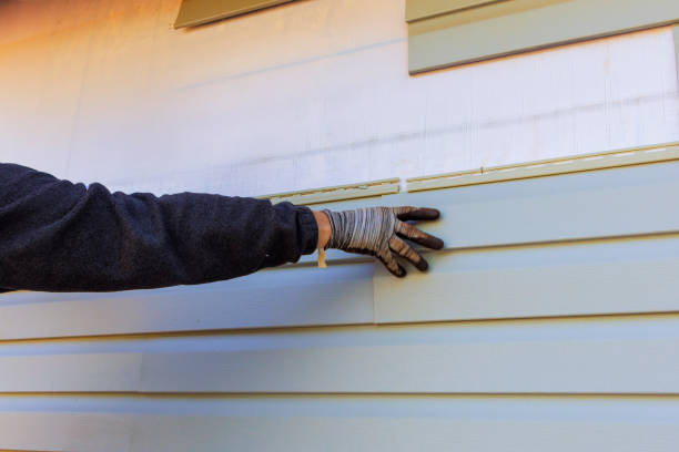 Affordable Siding Repair and Maintenance Services in Arcola, TX